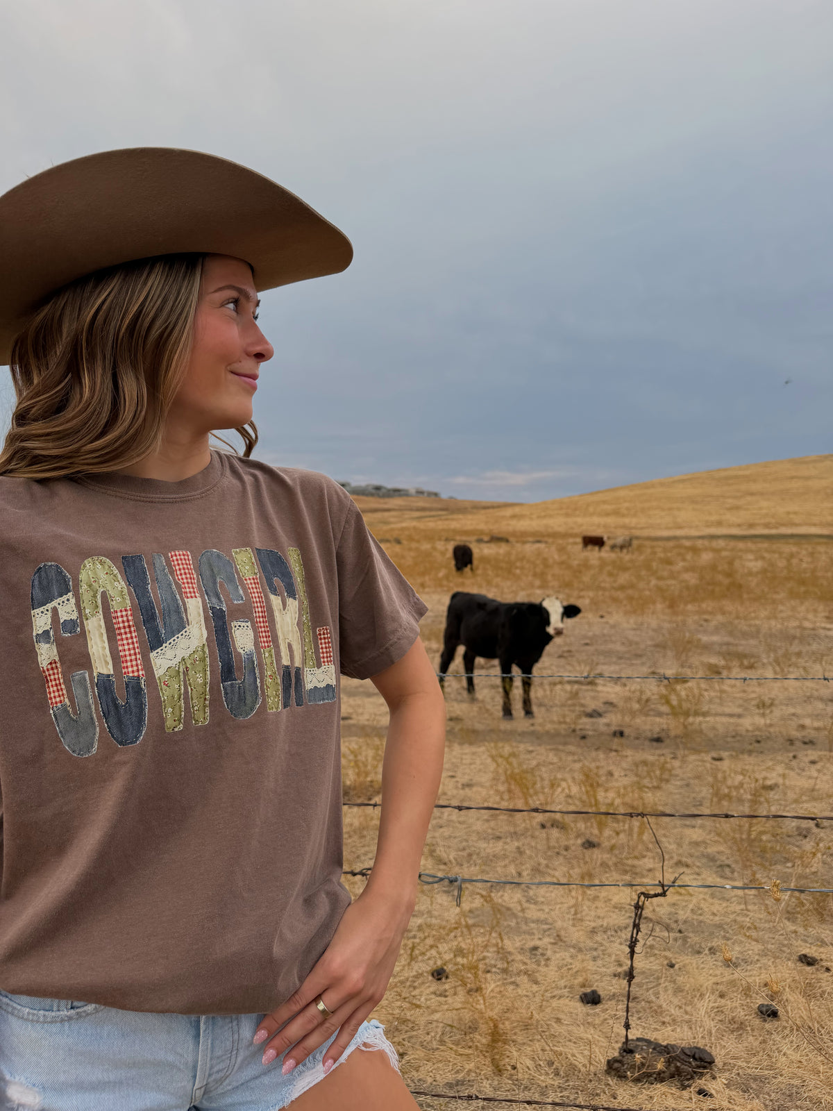 Brown T-shirt, words say cowgirl in oldtime  looking gingam , lace, deniem writing. Patch working inspried letters